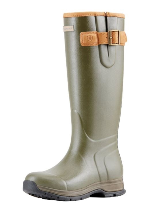 Ariat Burford Insulated Dames