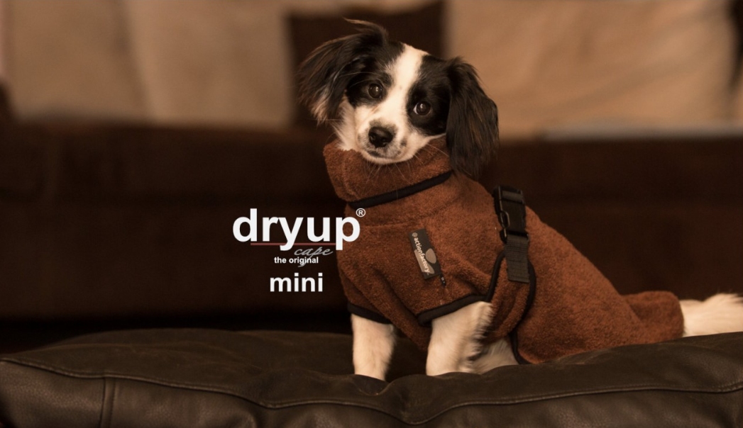 Dry-up Cape Mini Bruin