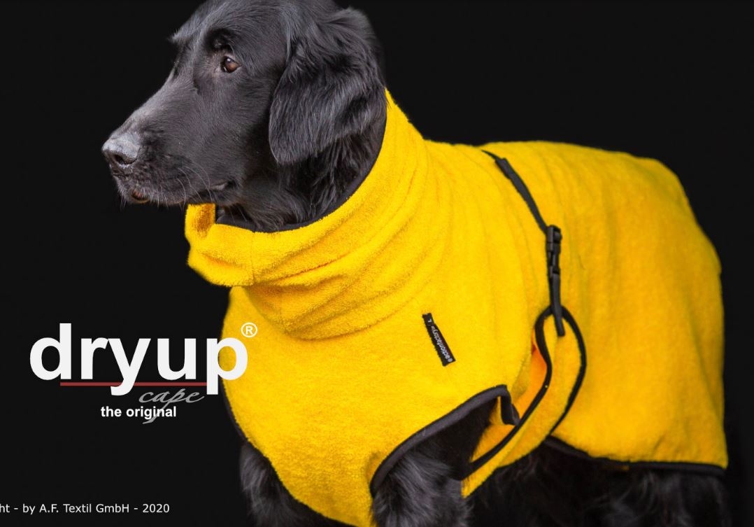 Dry-up Cape Yellow